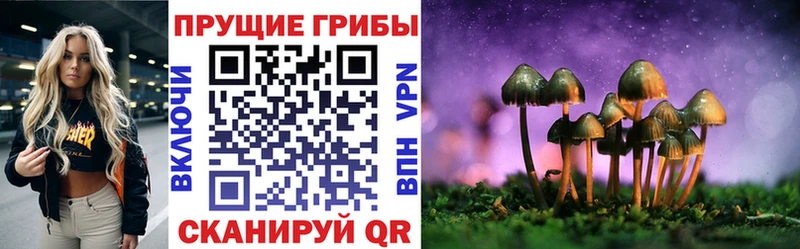 Псилоцибиновые грибы GOLDEN TEACHER  Покачи 